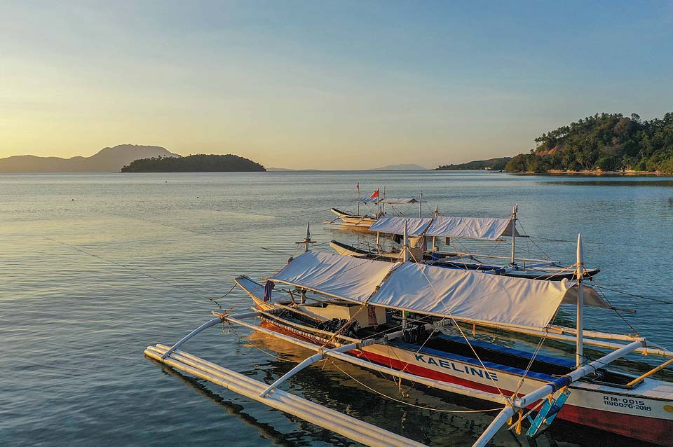 Ducks Diving Romblon