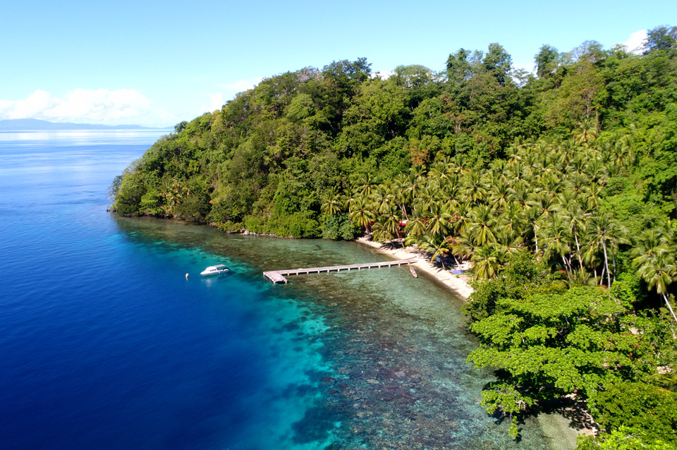 Molukken TraumTauchspot in Indonesien mit Großfisch