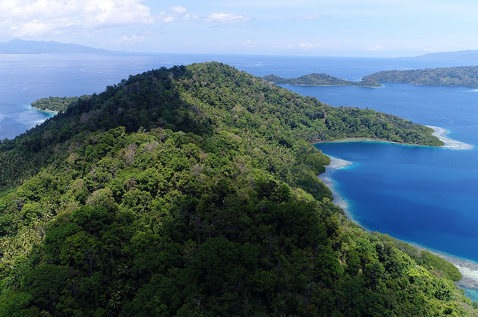 Molukken TraumTauchspot in Indonesien mit Großfisch
