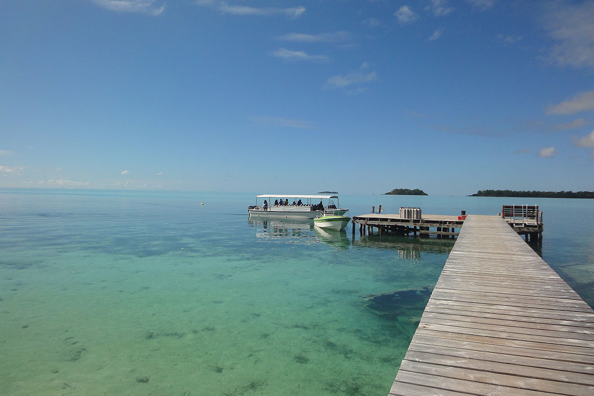 Palau Diving Center / Carp Island