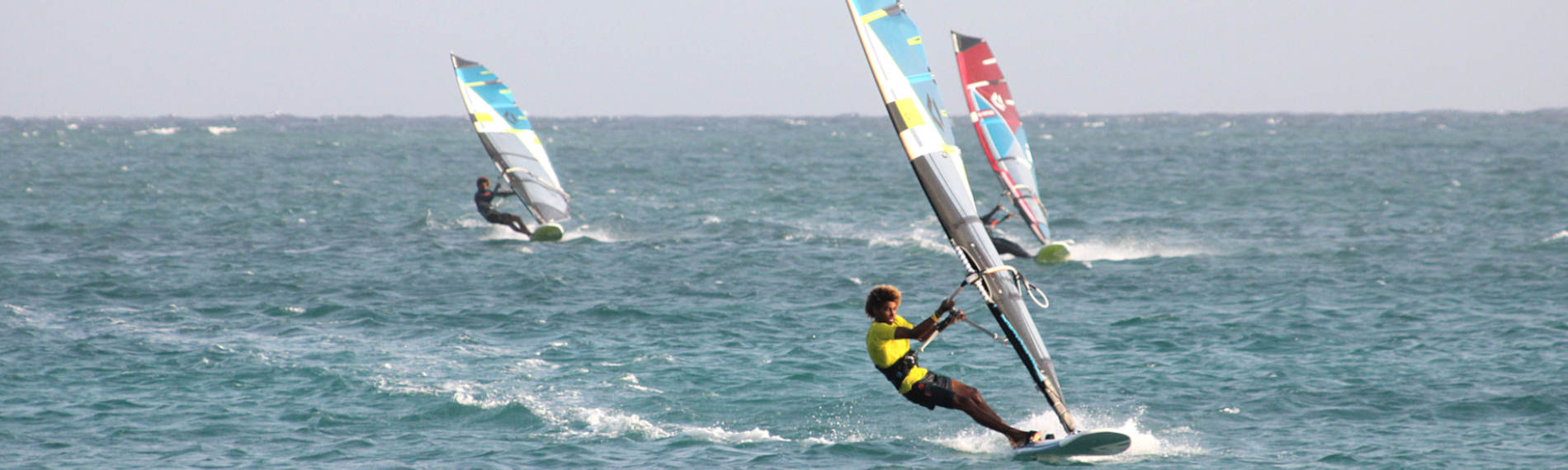 Header Sal ION Surf.
