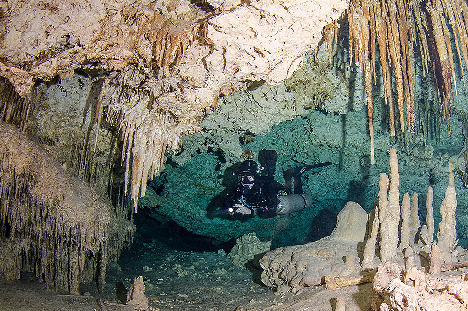 Mexiko Unterwasserwelt © Pro Dive