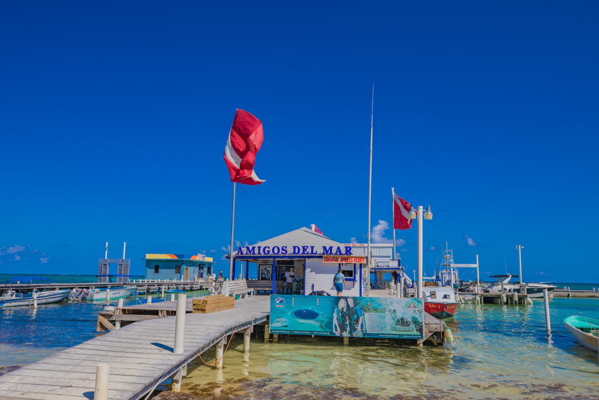 Amigos del Mar