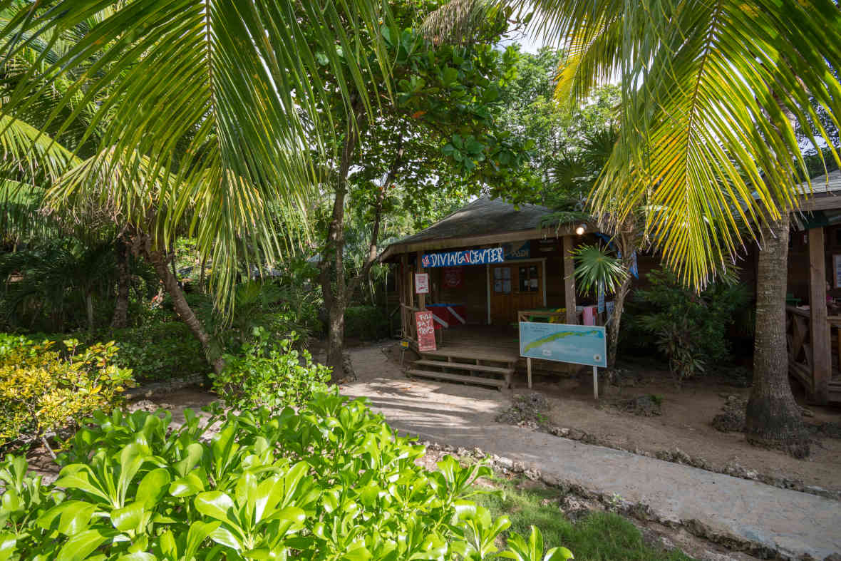 Las Rocas Diving Center