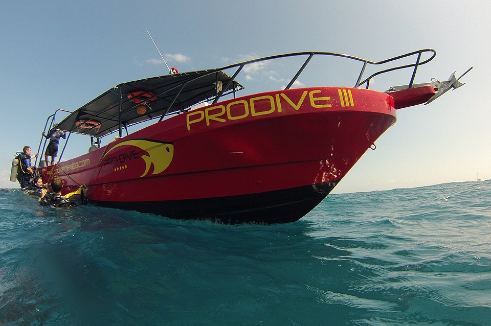 Puerto Aventuras - Pro Dive at Catalonia Riviera Maya, Boot