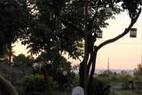 Rhodos Theologos - Nikos Ikies, Blick zum Meer