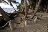 Nicaragua - Little Corn Island - Beach and Bungalow - Anlage mit Palmen