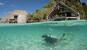 West Papua - Misool Eco Resort, Water Cottage