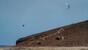El Medano, Wind Center Playa Surf, Kiteaction