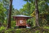 Bunaken - Seabreeze Resort, Gardenbungalow