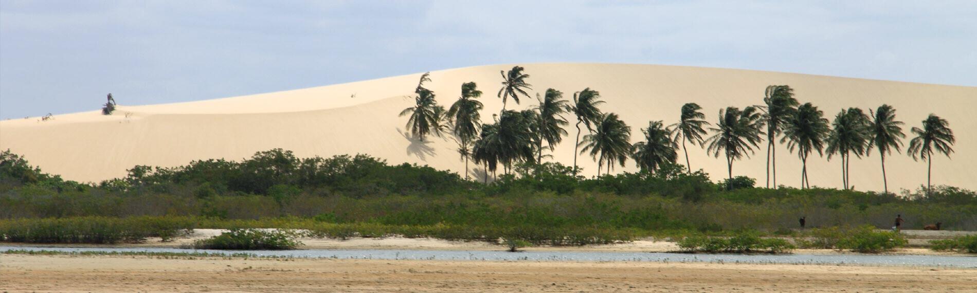 Sanddüne in Jericoacoara mit Palmen am Strand, bewölkter Himmel im Hintergrund.