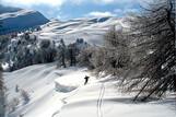 Skisafari Haute Alpes