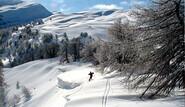 Skisafari Haute Alpes
