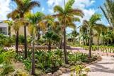 Bonaire - Delfins Beach Resort - Gartenblick