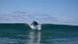 Surf Lanzarote Wellenreiten im Surfcamp Costa Teguise