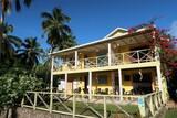 Yellow Home (2)