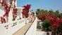 Rhodos Theologos - Alex Beach Hotel, Anlage