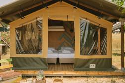 Medium Luxus Safari Zelt