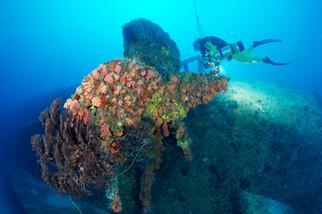 Key Largo - Wrack BIBB 