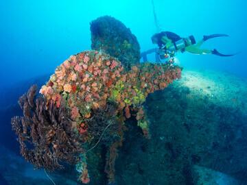 Key Largo - Wrack BIBB 