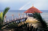 Cebu Dolphin House