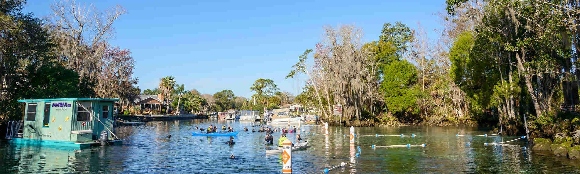 Florida - Crystal River, Plantation Crystal River Dive Center, Header