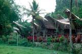 Indonesien - Sulawesi - Rundreise Torajaland (6)