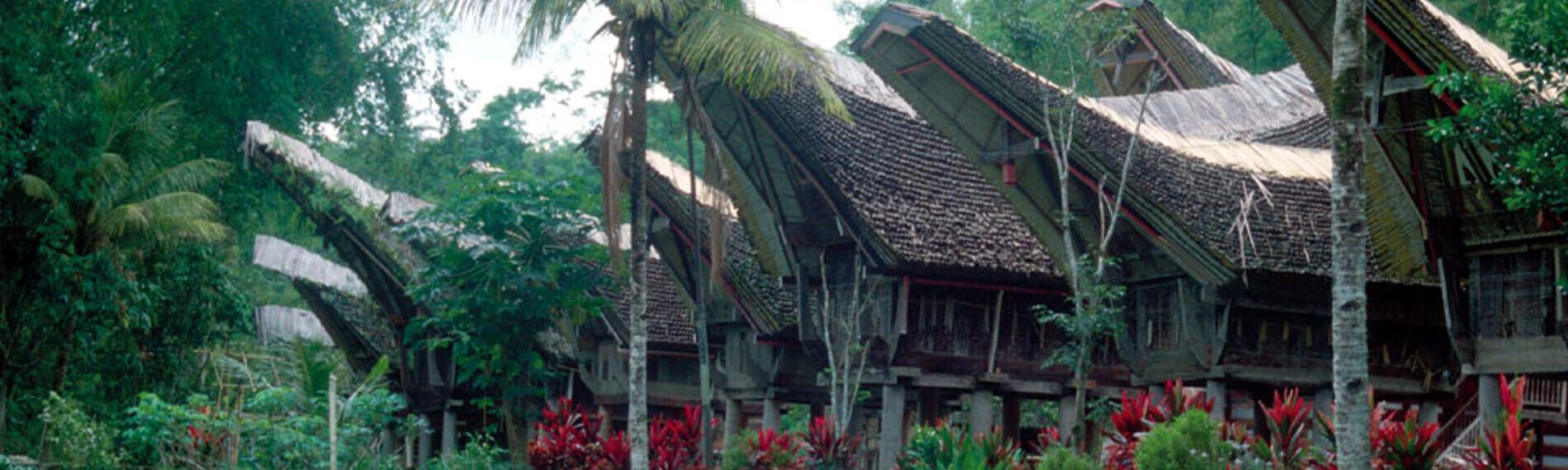 Indonesien - Sulawesi - Rundreise Torajaland