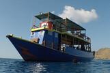 Orca Dive Club Flores, Tagesboot