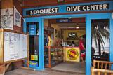 Bohol - Seaquest Dive Center