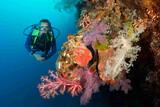 Philippinen - Bohol - Magic Oceans Dive Resort - Steilwände