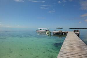 Palau Diving Center / Carp Island