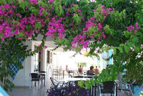 Rhodos - Theologos