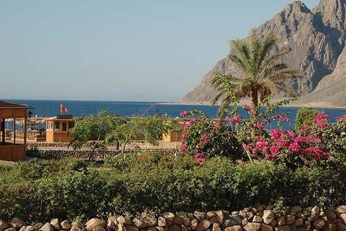 Sinai - Happy Life Village