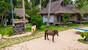 Philippinen - Ticao Island Resort - Beachfront Cabanas und Pferde