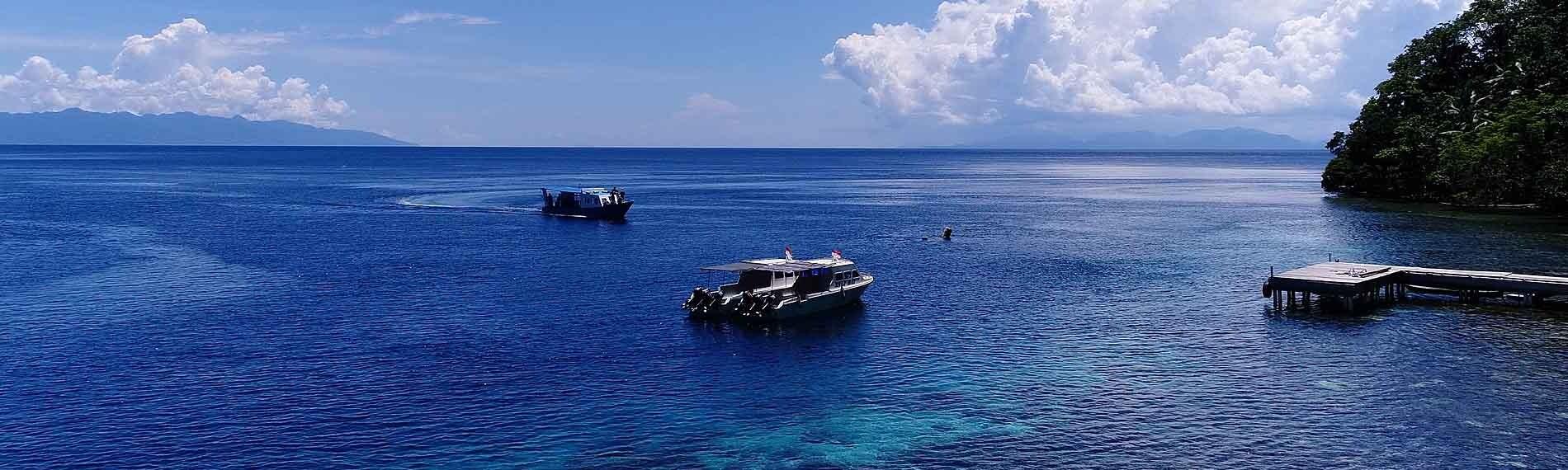 © Sali Bay