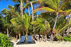 Beach and Bungalow Resort