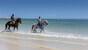 Djerba - Hari Club Beach Resort, Reiten am Strand