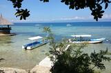 Cebu - Dolphin House, Dive College, Jetty