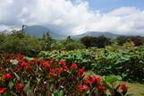 Minahasa Hochland Tour - Blick auf Vulkan