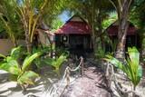 Nicaragua - Little Corn Island - Beach and Bungalow - Bungalow