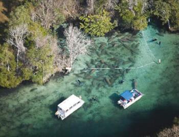 Crystal River
