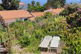 Madeira - Manta Diving Appartements - Garten