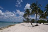 Maria la Gorda - Strand mit Palmen