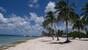 Maria la Gorda - Strand mit Palmen