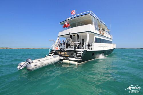 Tauchkreuzfahrten Cuba - Avalon F1