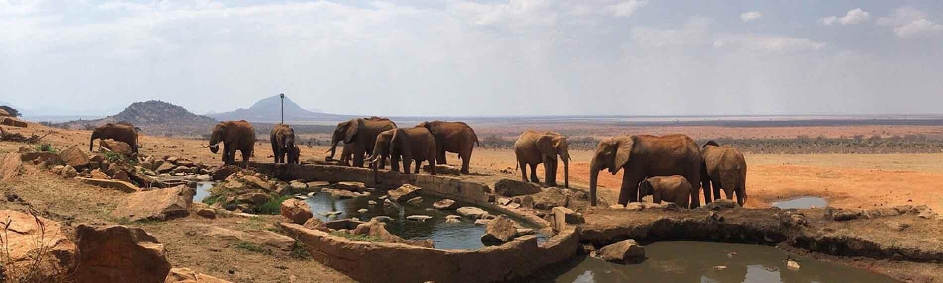 © Temple Point Safari