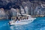 Madeira - Manta Diving - Tauchausflug