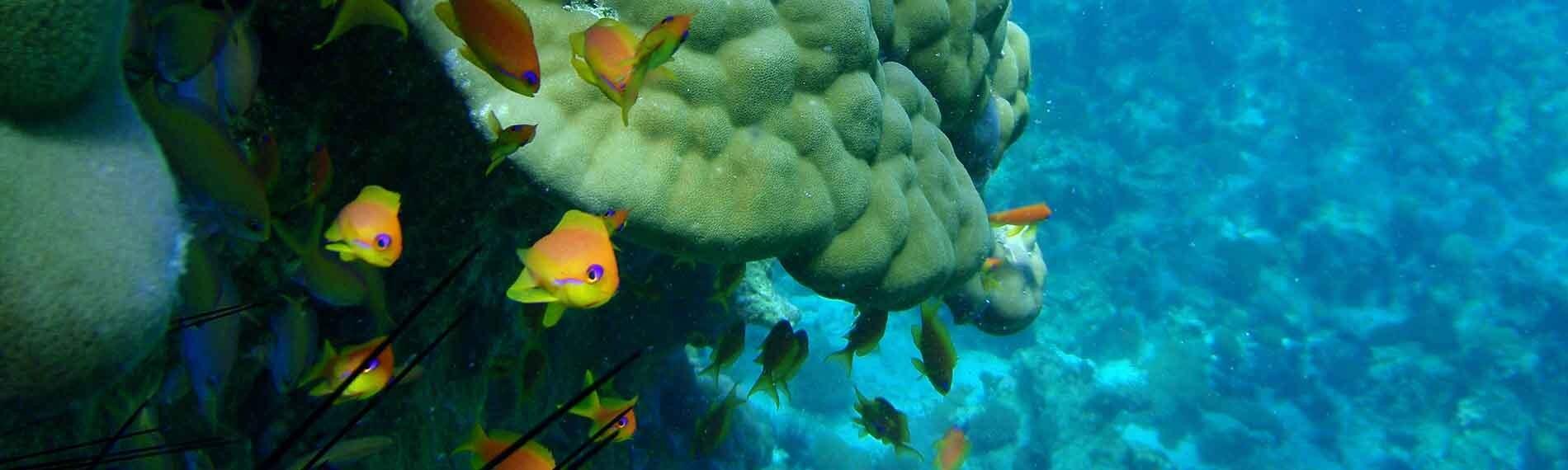 © Manta Resort