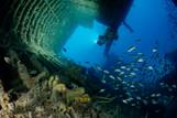 Key Largo - Wrack EAGLE